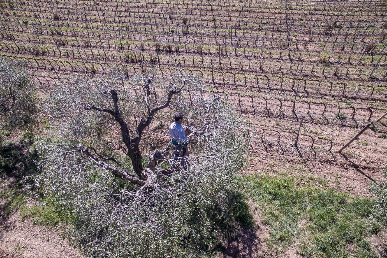 Agriturismo Ristorante Monte Argentario Zewnętrze zdjęcie