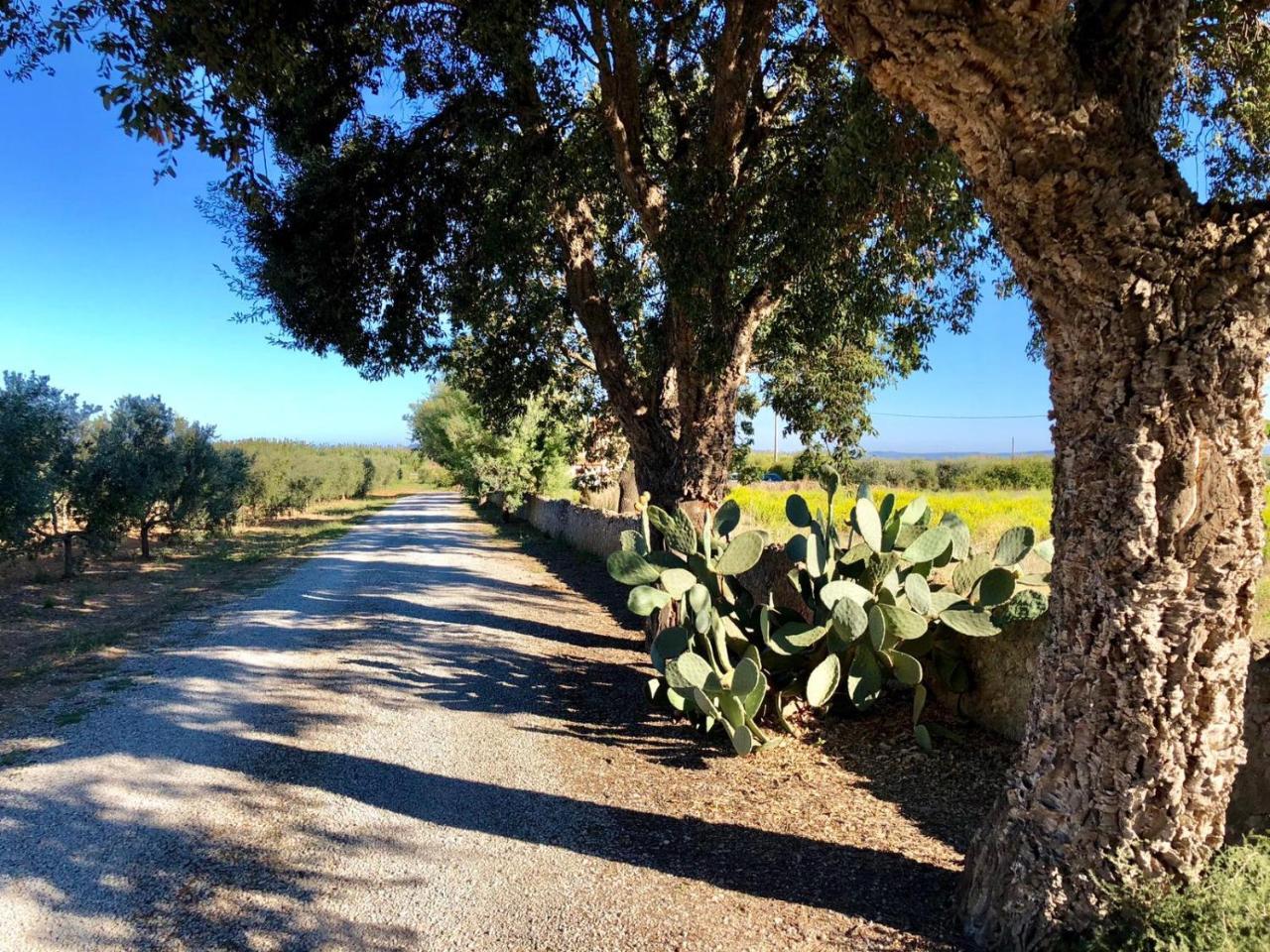 Agriturismo Ristorante Monte Argentario Zewnętrze zdjęcie